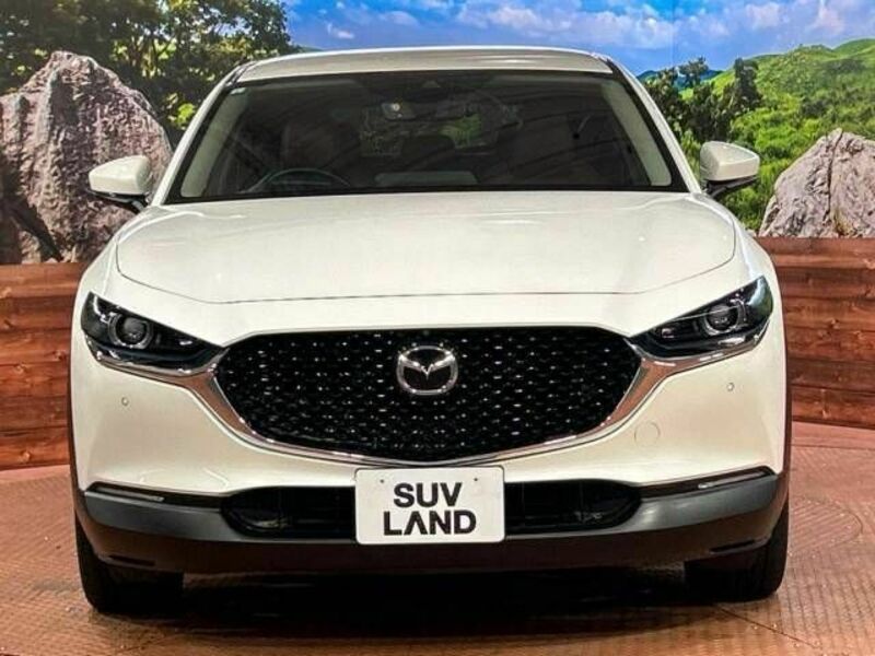 CX-30