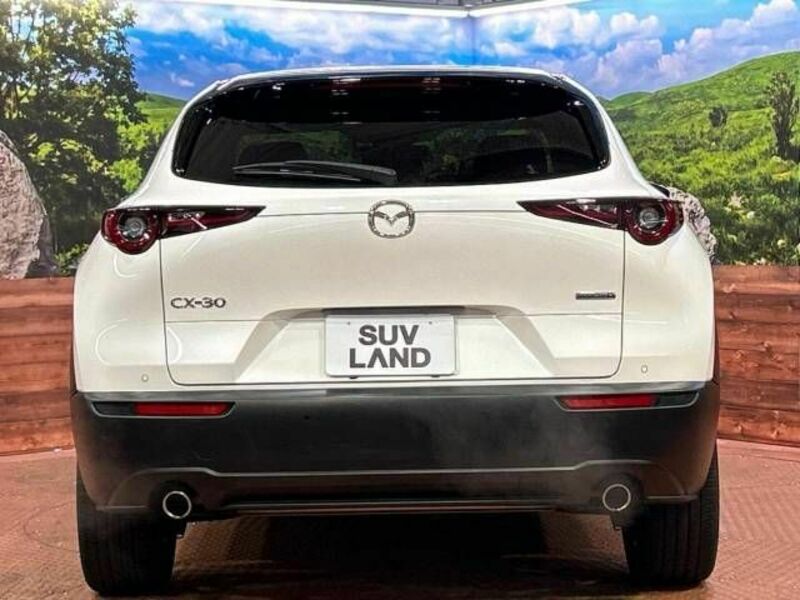 CX-30