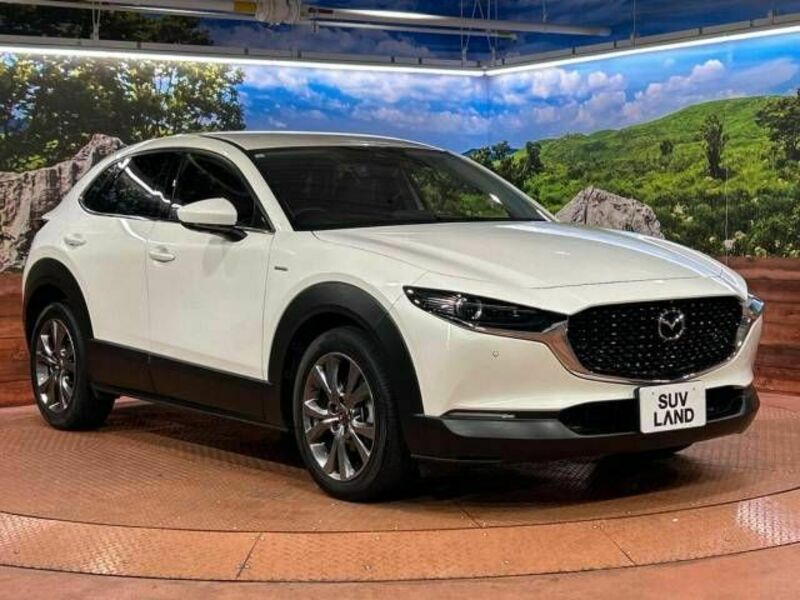 CX-30