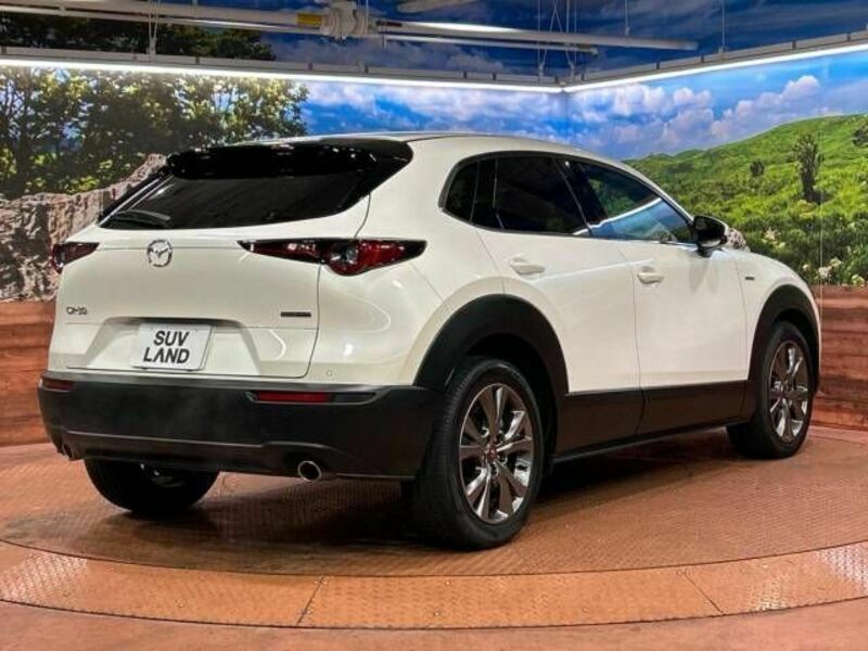 CX-30
