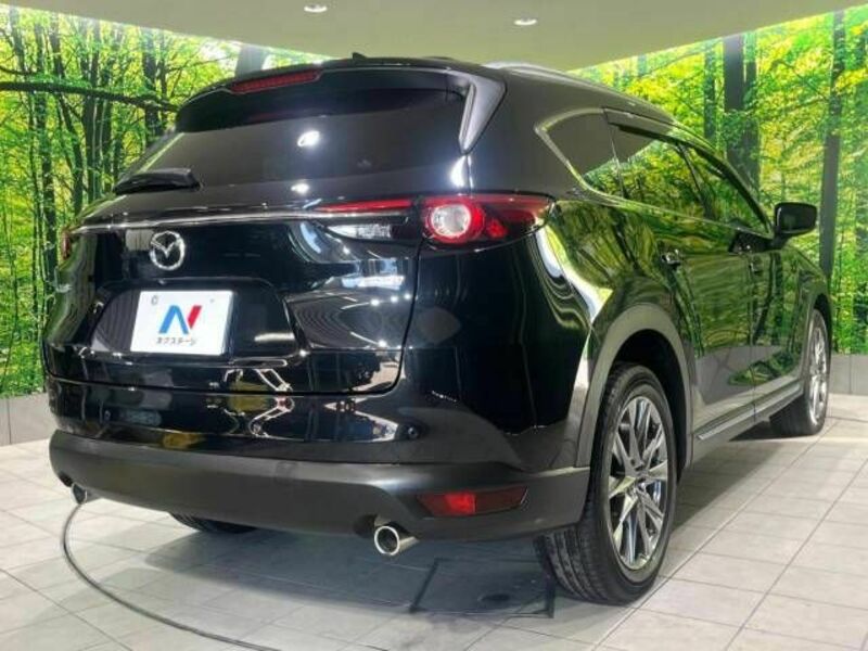 CX-8