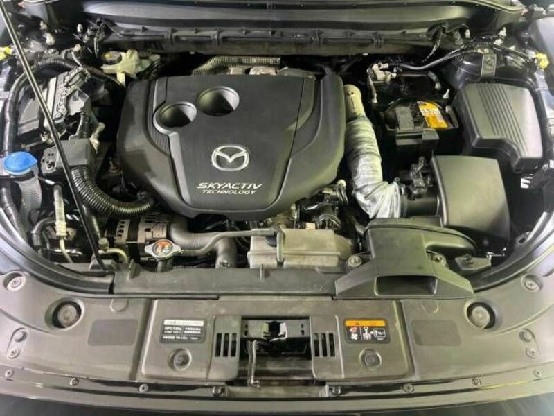 CX-8