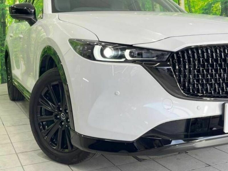 CX-8