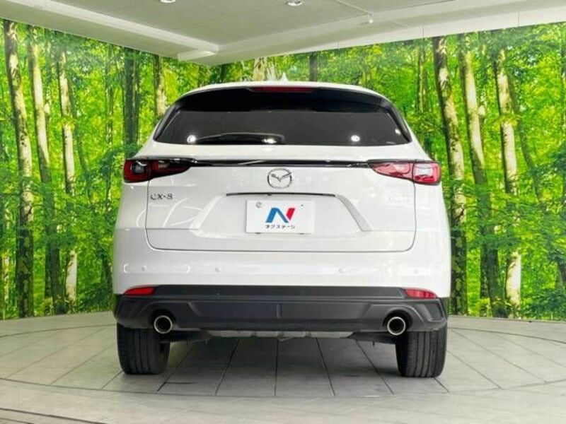 CX-8