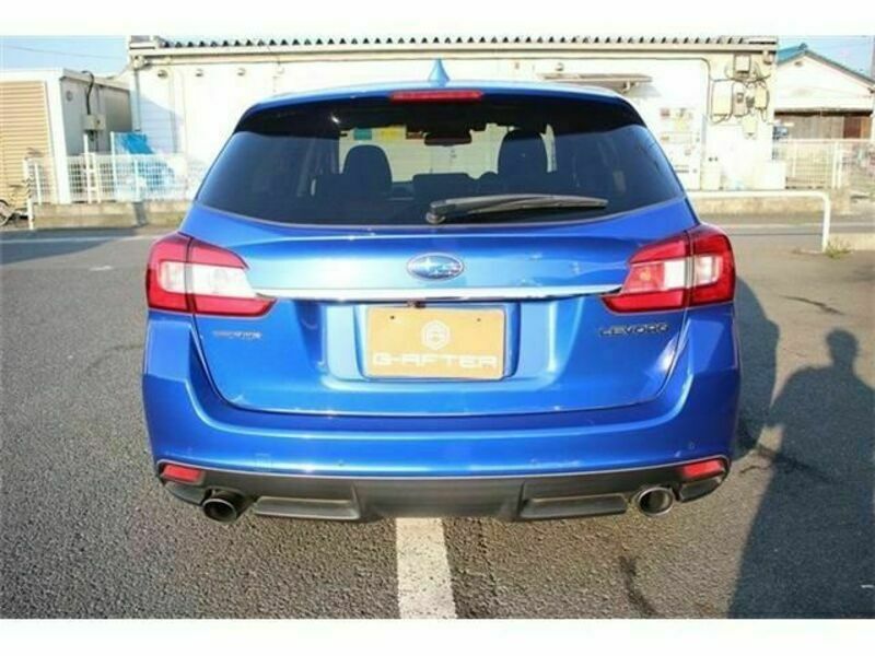 LEVORG