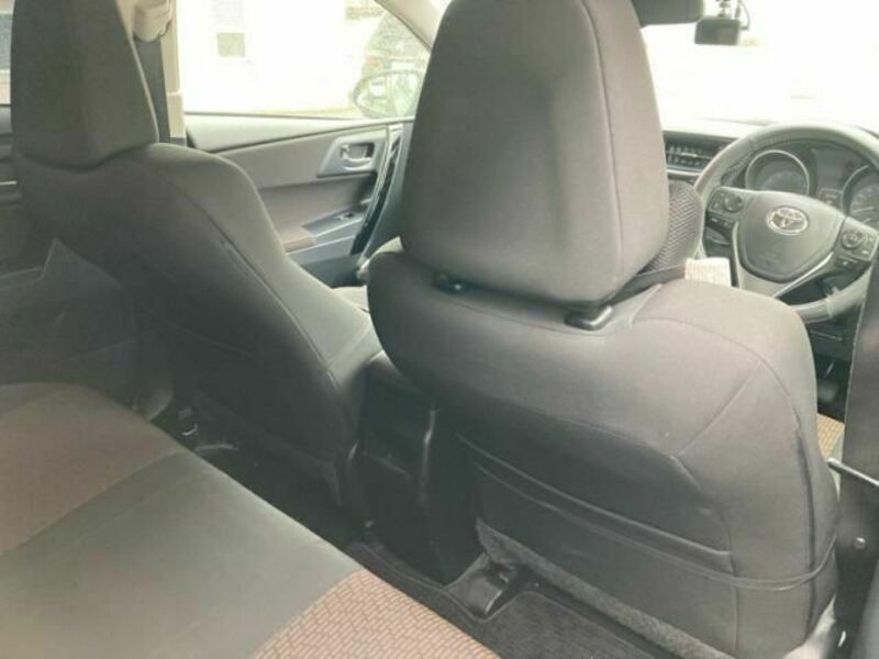 AURIS