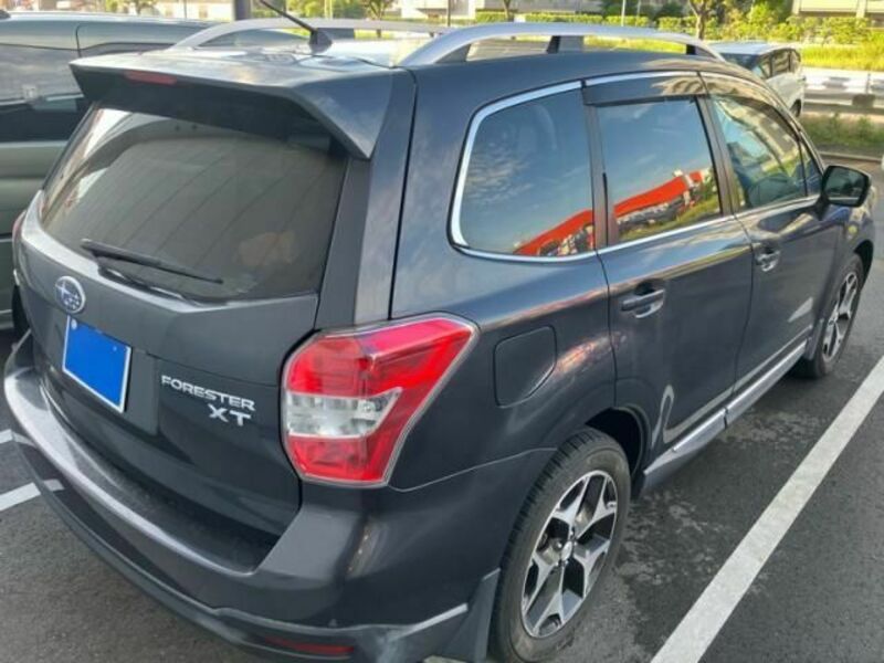 FORESTER