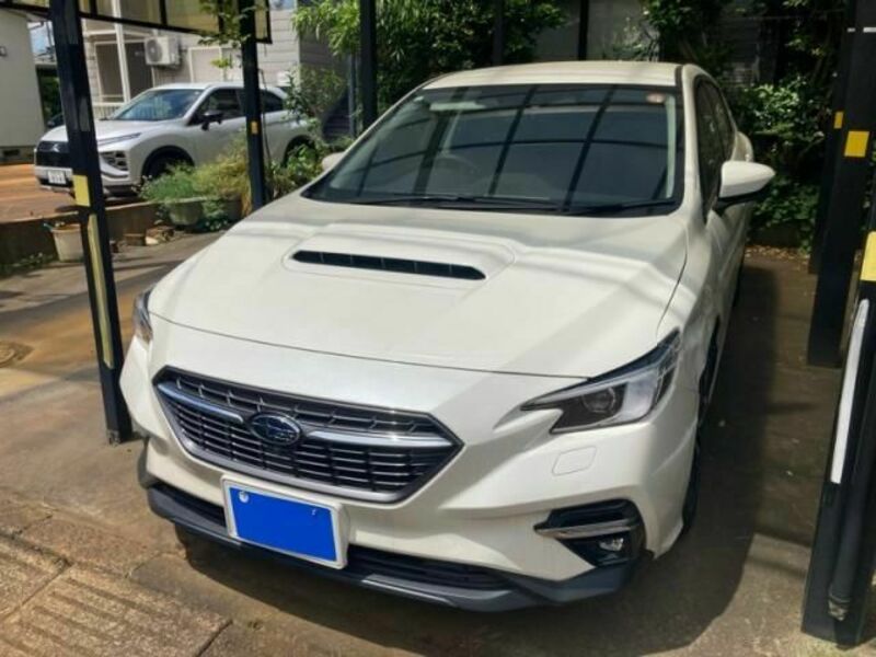 LEVORG-0