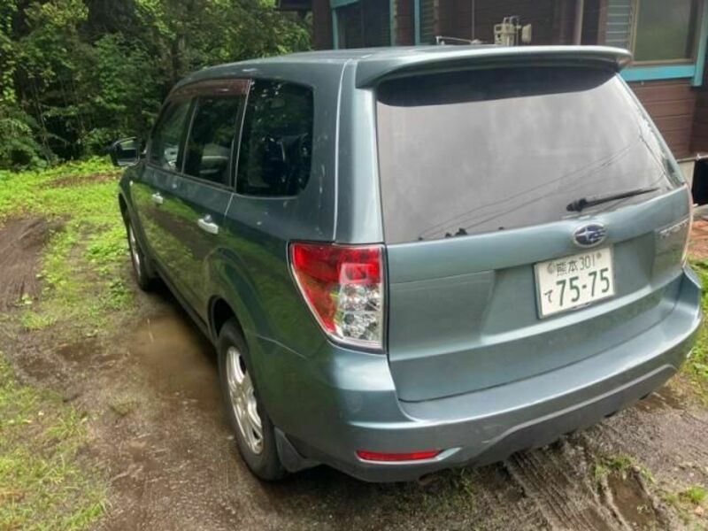 FORESTER