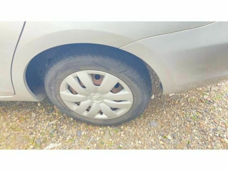 BELTA