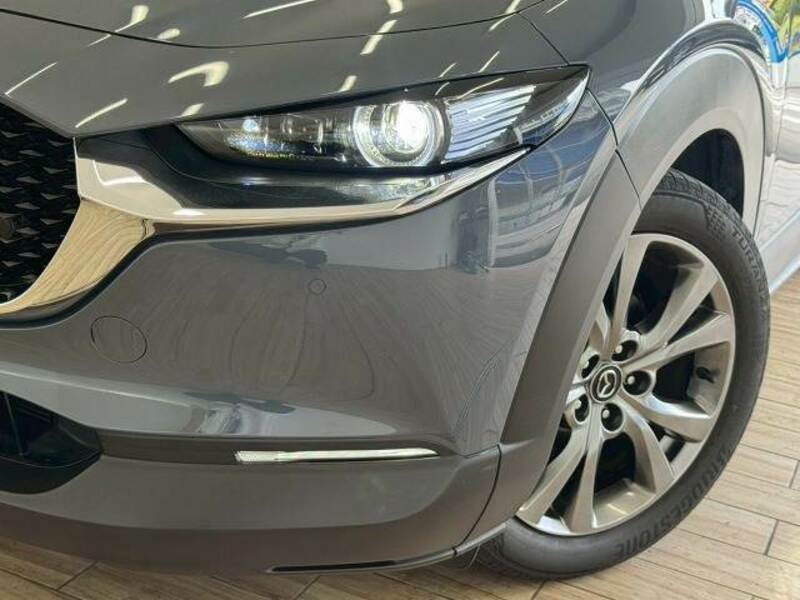 CX-30