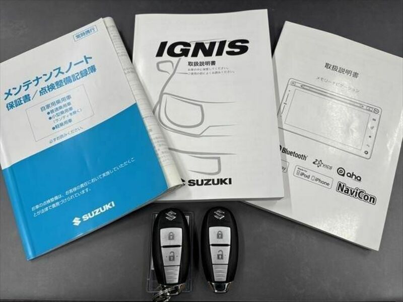 IGNIS