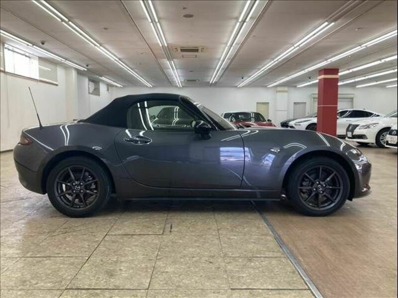 ROADSTER