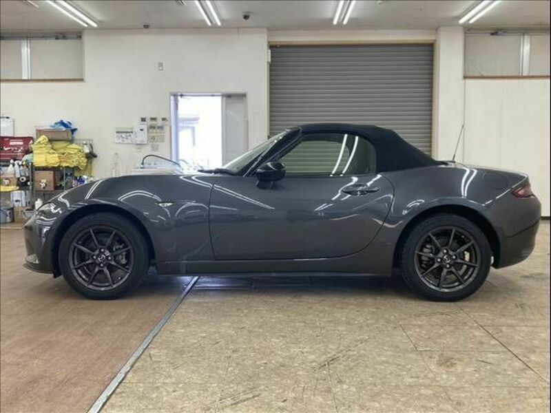 ROADSTER