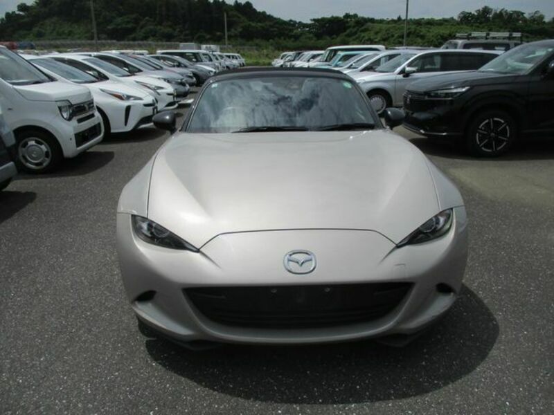 ROADSTER