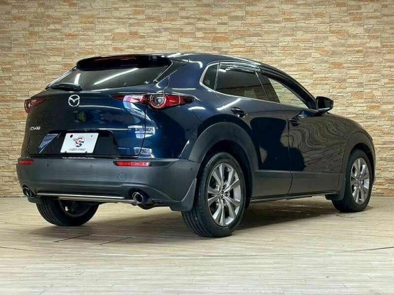 CX-30