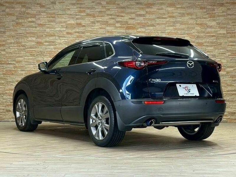 CX-30