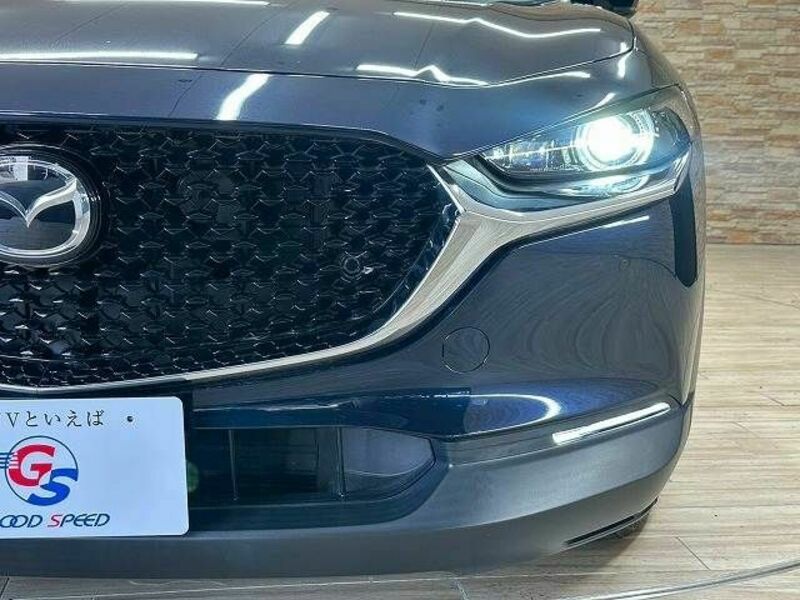 CX-30