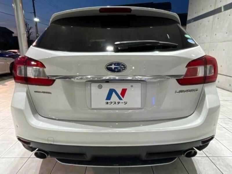 LEVORG