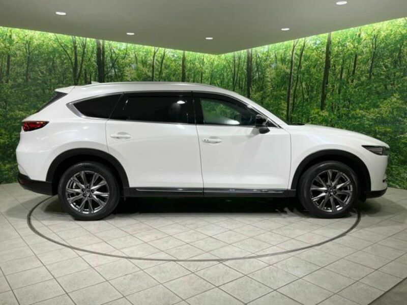 CX-8