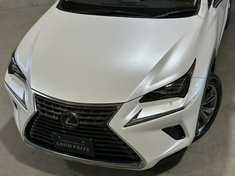 NX
