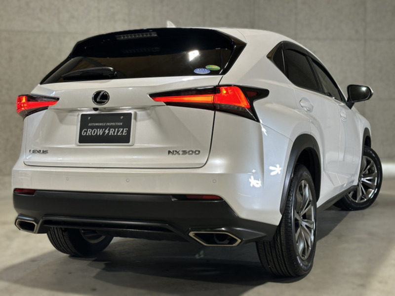 NX