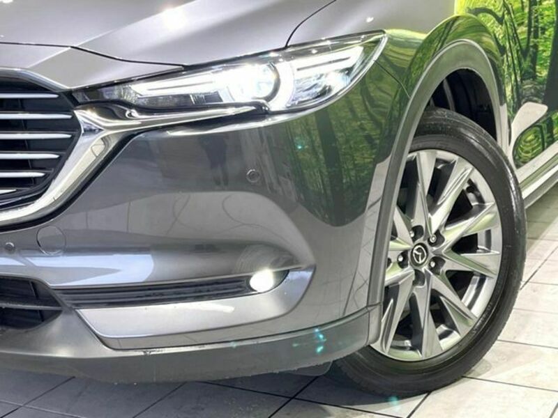CX-8