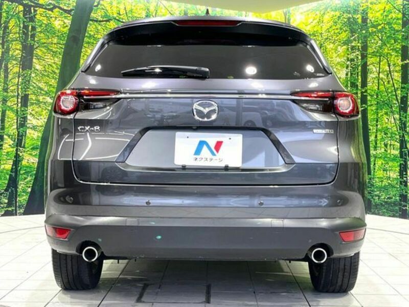 CX-8