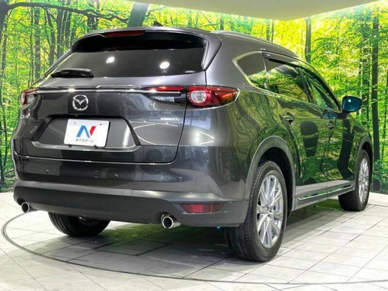 CX-8