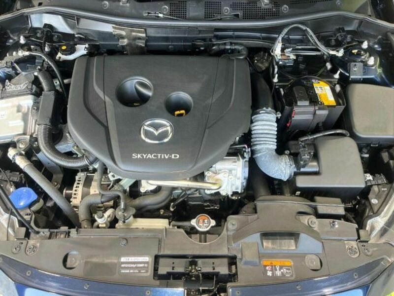MAZDA2
