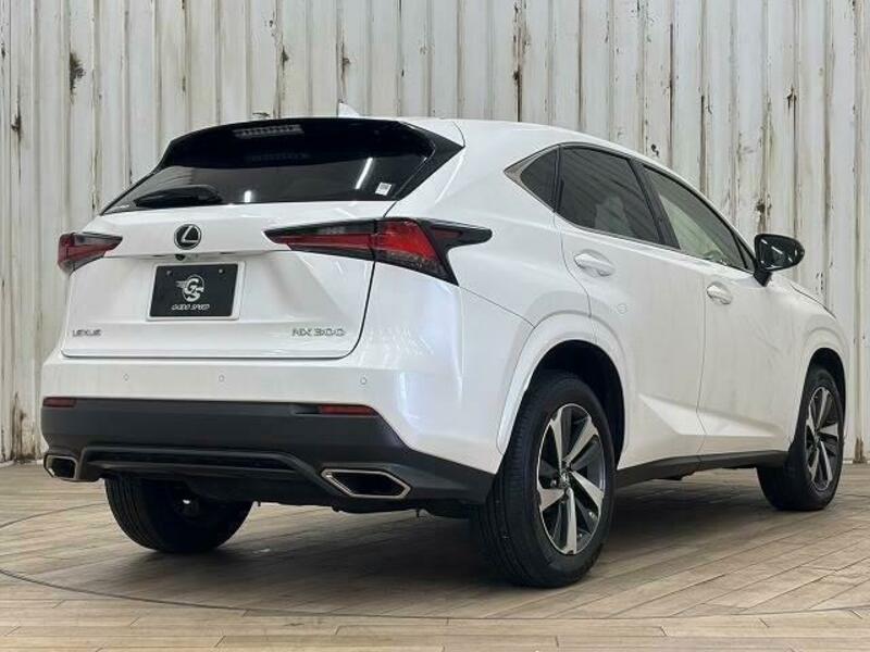 NX