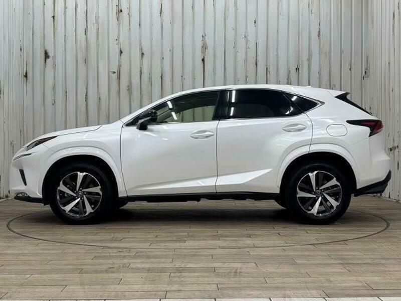 NX