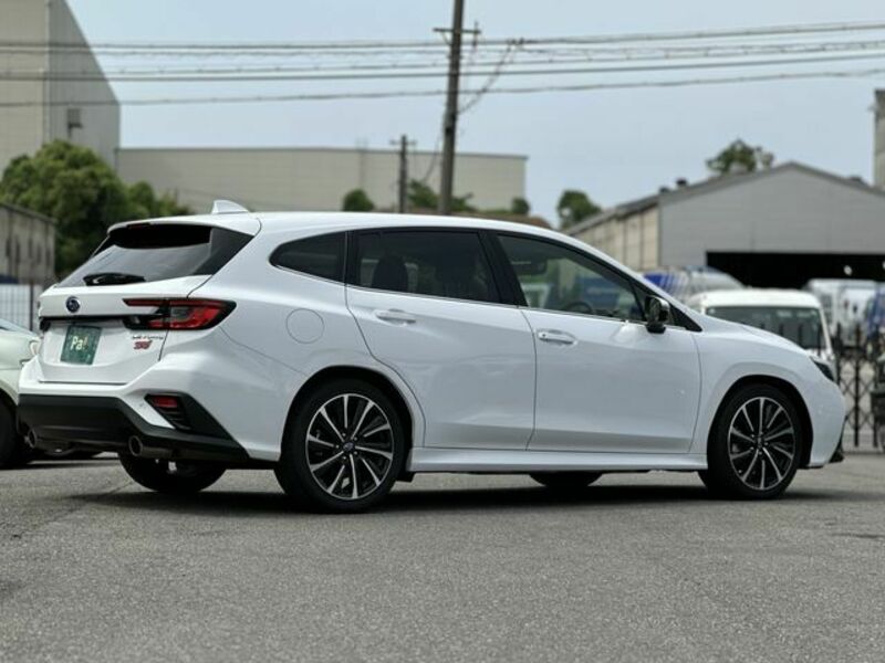 LEVORG