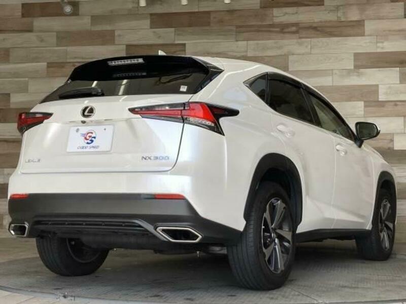 NX