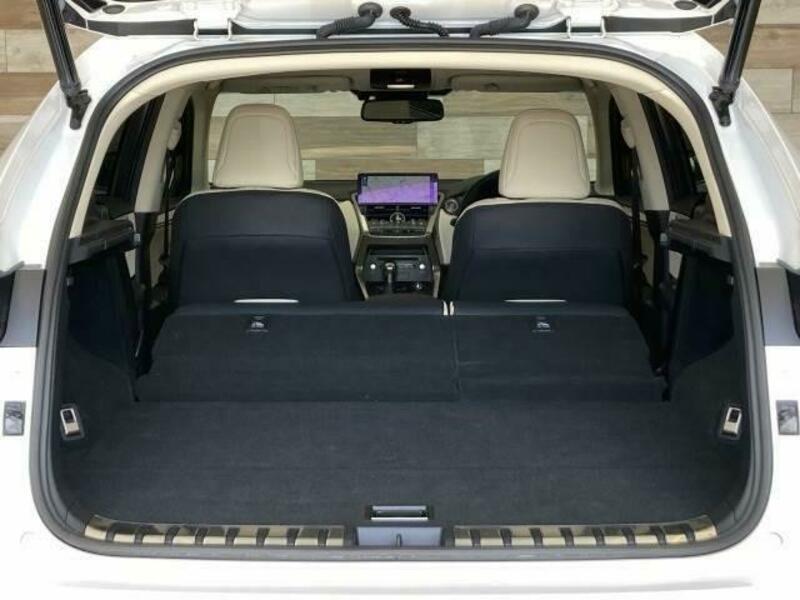 NX
