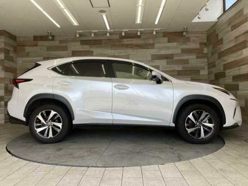 NX