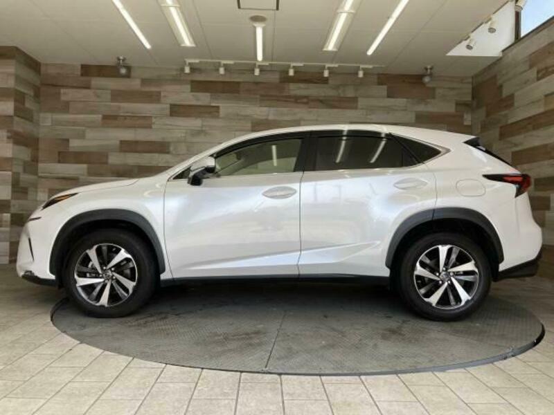NX