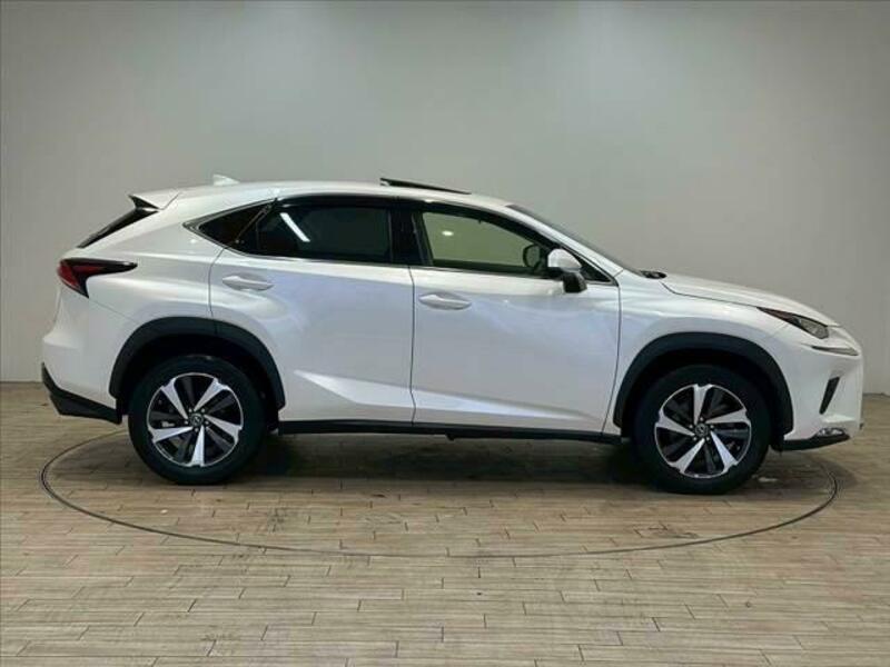 NX