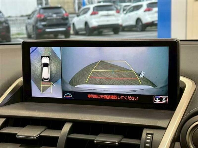 NX