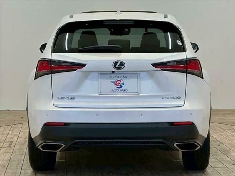 NX