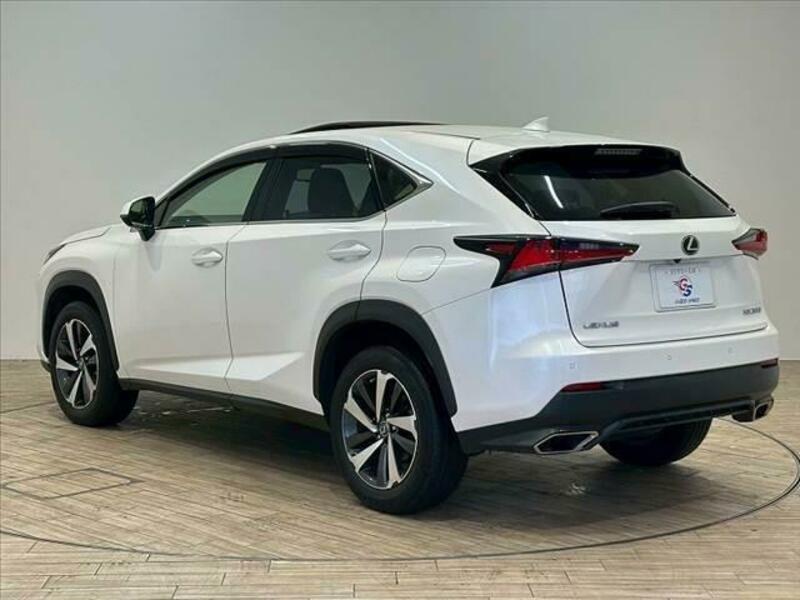 NX