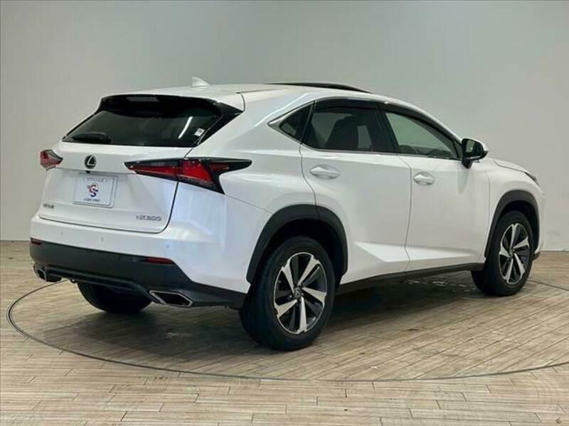 NX