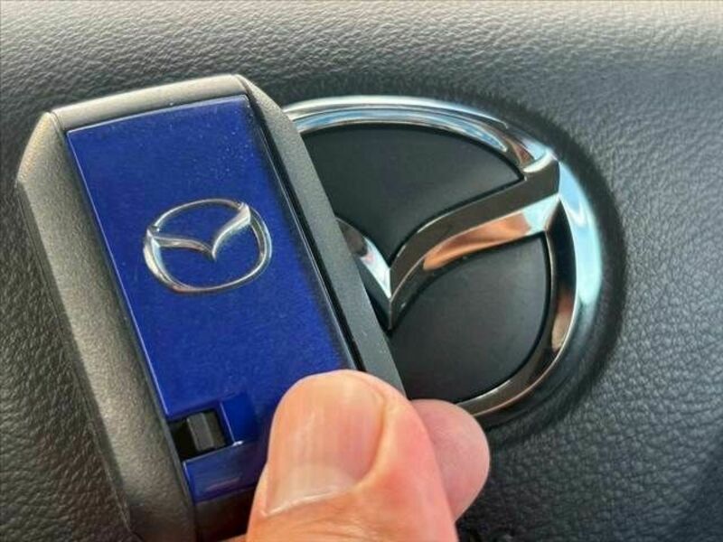 FLAIR