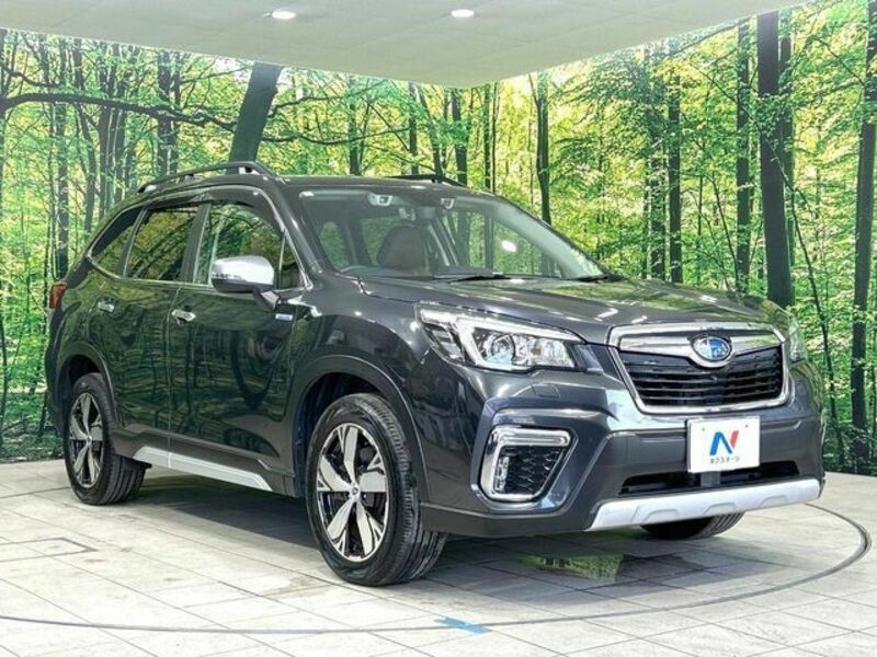 FORESTER