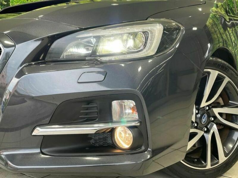 LEVORG