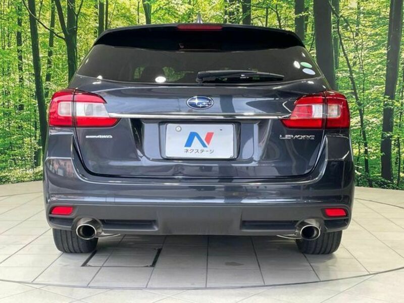 LEVORG