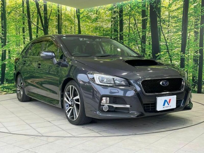 LEVORG