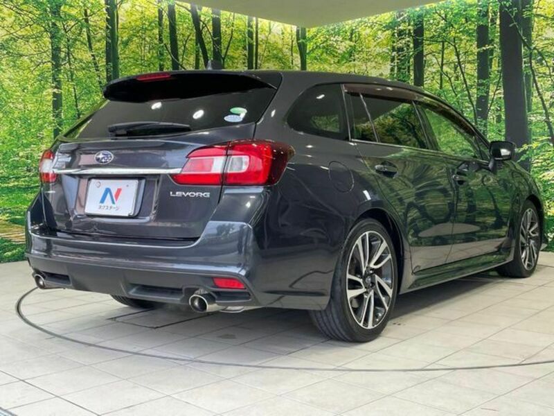 LEVORG