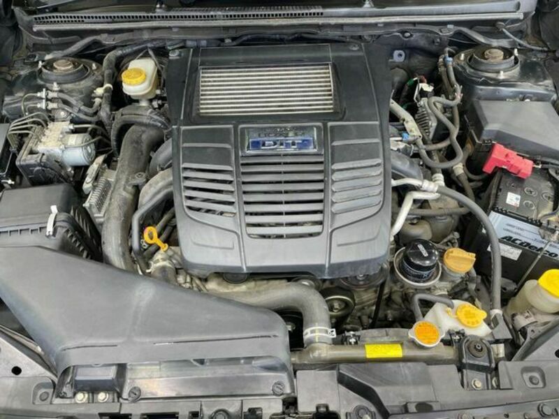 LEVORG