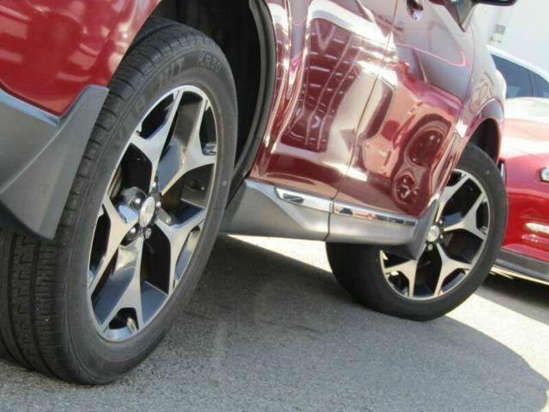 FORESTER